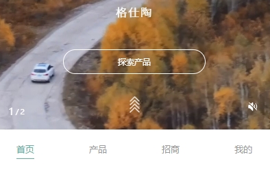 格仕陶小程序原生開發